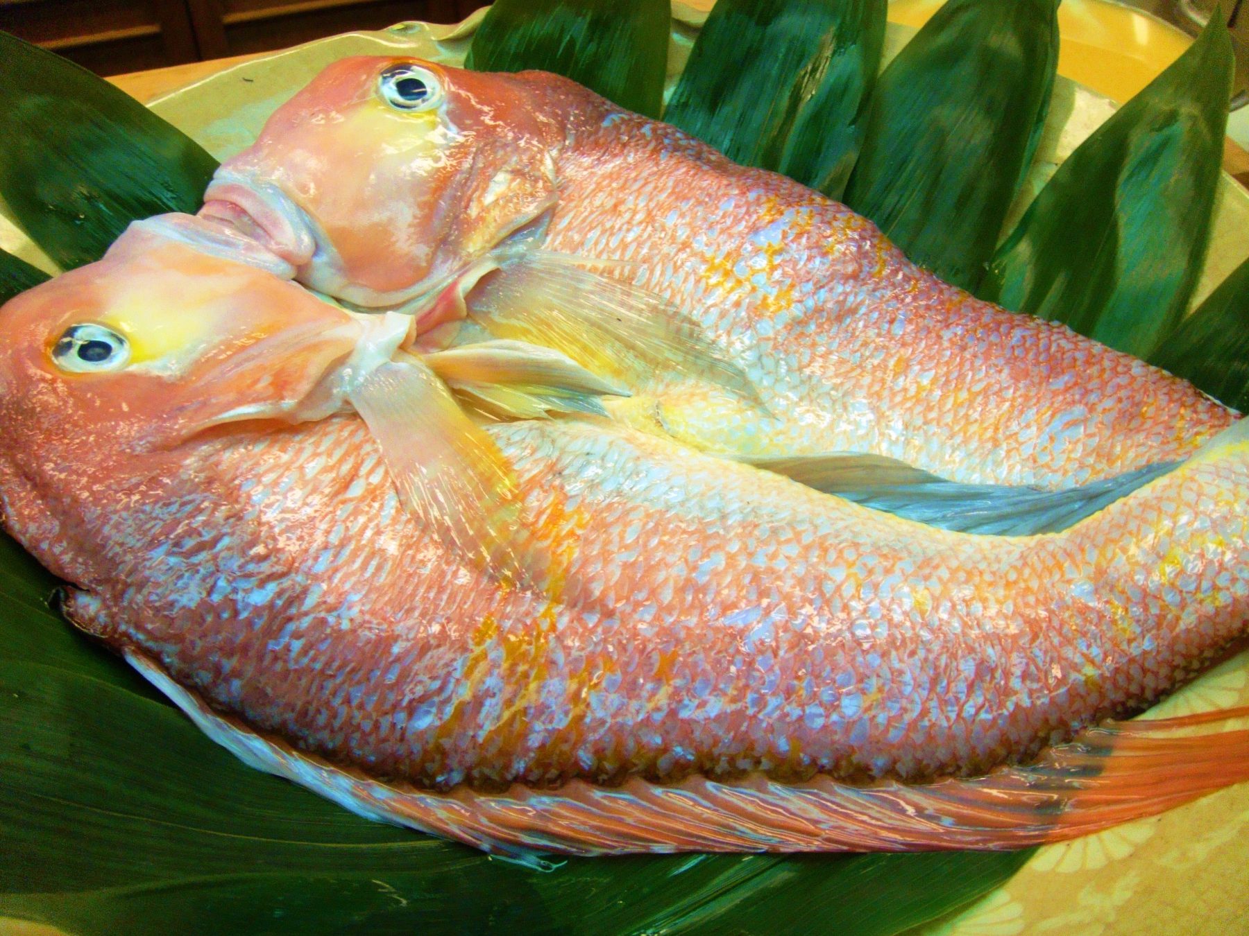  北陸の美味しい魚を自らの育った奈良で紹介したい