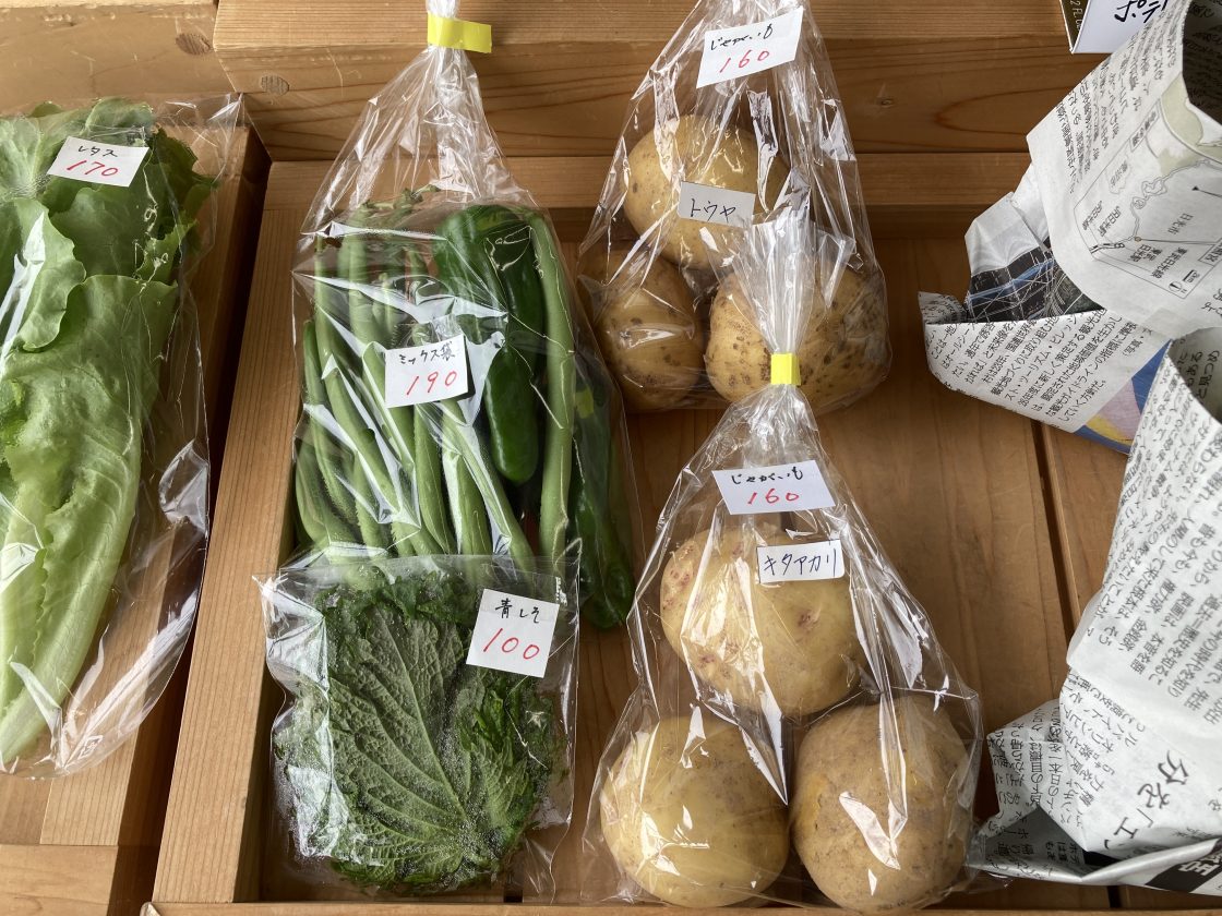 季節のお花・お野菜・苗物が入荷いたしました。