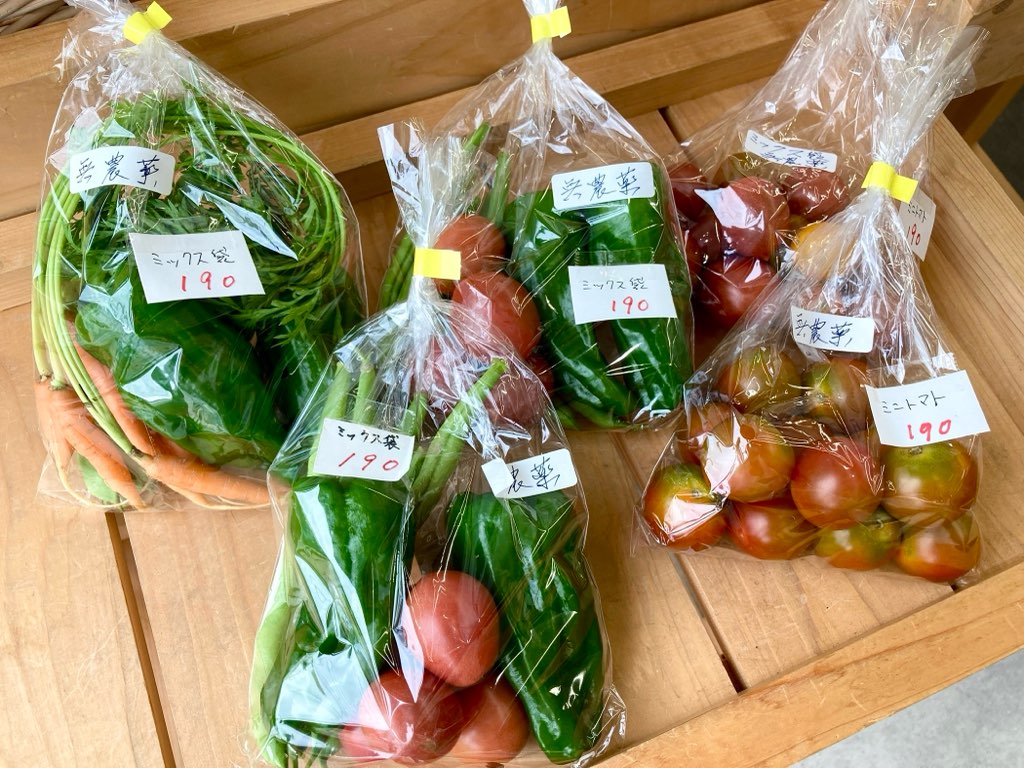 季節のお花、野菜、苗、鉢物が届きました