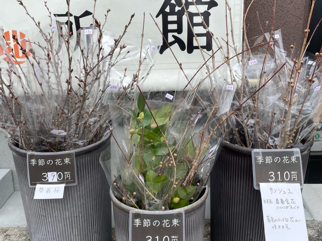 季節のお花が入荷いたしました