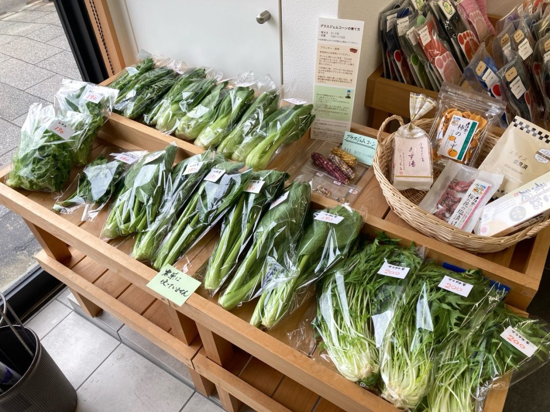 季節のお花、野菜が入荷いたしました