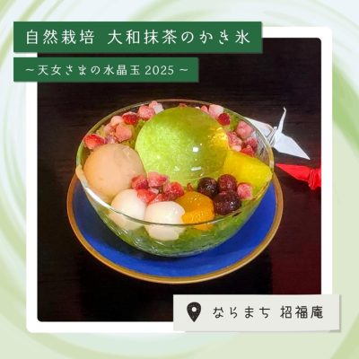 天女さまの水晶玉 大和抹茶氷 2025