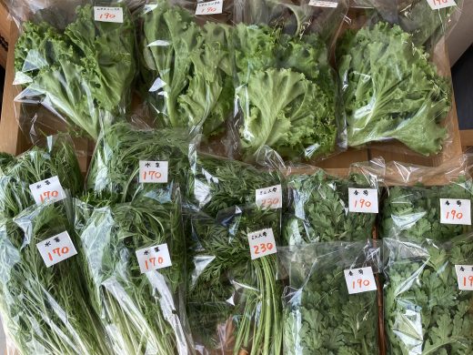 季節のお花、野菜が入荷いたしました