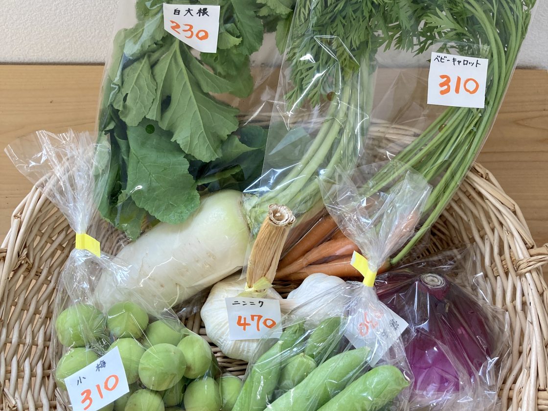 季節の野菜が入荷いたしました