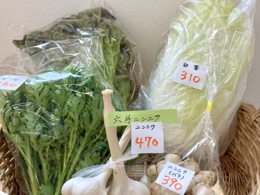 季節のお花、野菜が入荷いたしました