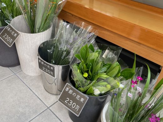 高野槙、季節のお花、野菜が入荷いたしました