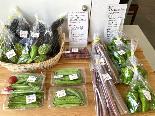 季節のお花、野菜が入荷しました。