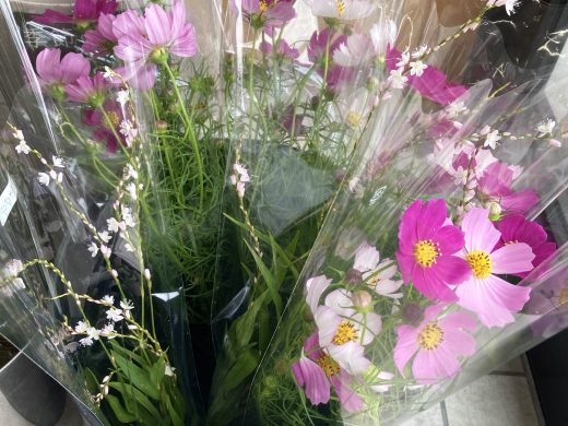 季節のお花・野菜が入荷しました。