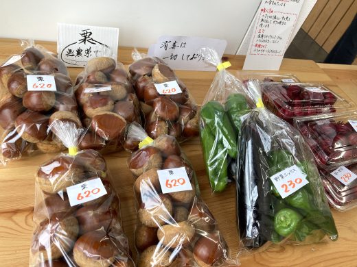 季節のお花・野菜が入荷しました。