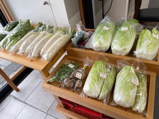 季節のお野菜が入荷しました