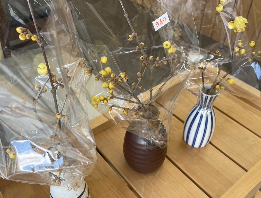 季節のお花・野菜が入荷しました