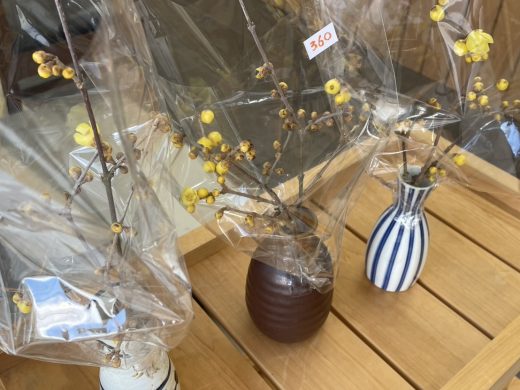 季節のお花・野菜が入荷しました