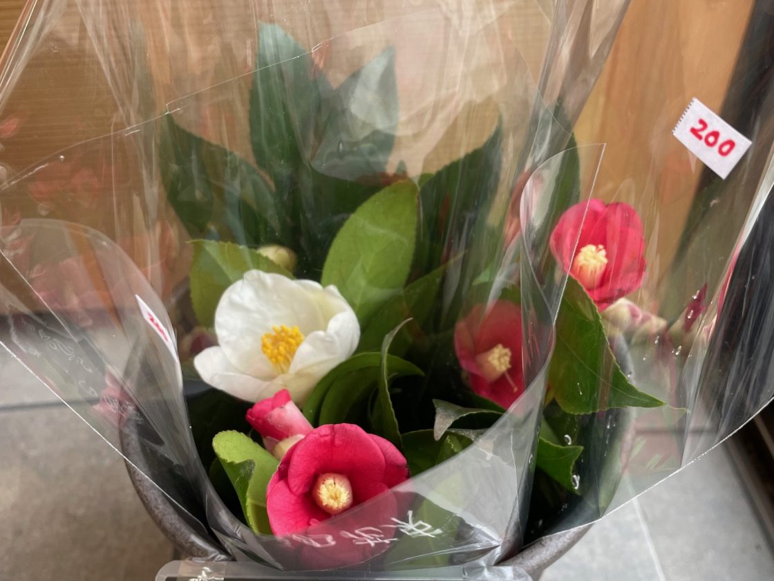 季節のお花・野菜が入荷しました