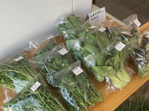 季節のお花・野菜が入荷しました